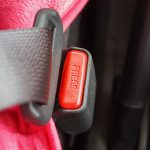 seat belts on the bus for your children's safety